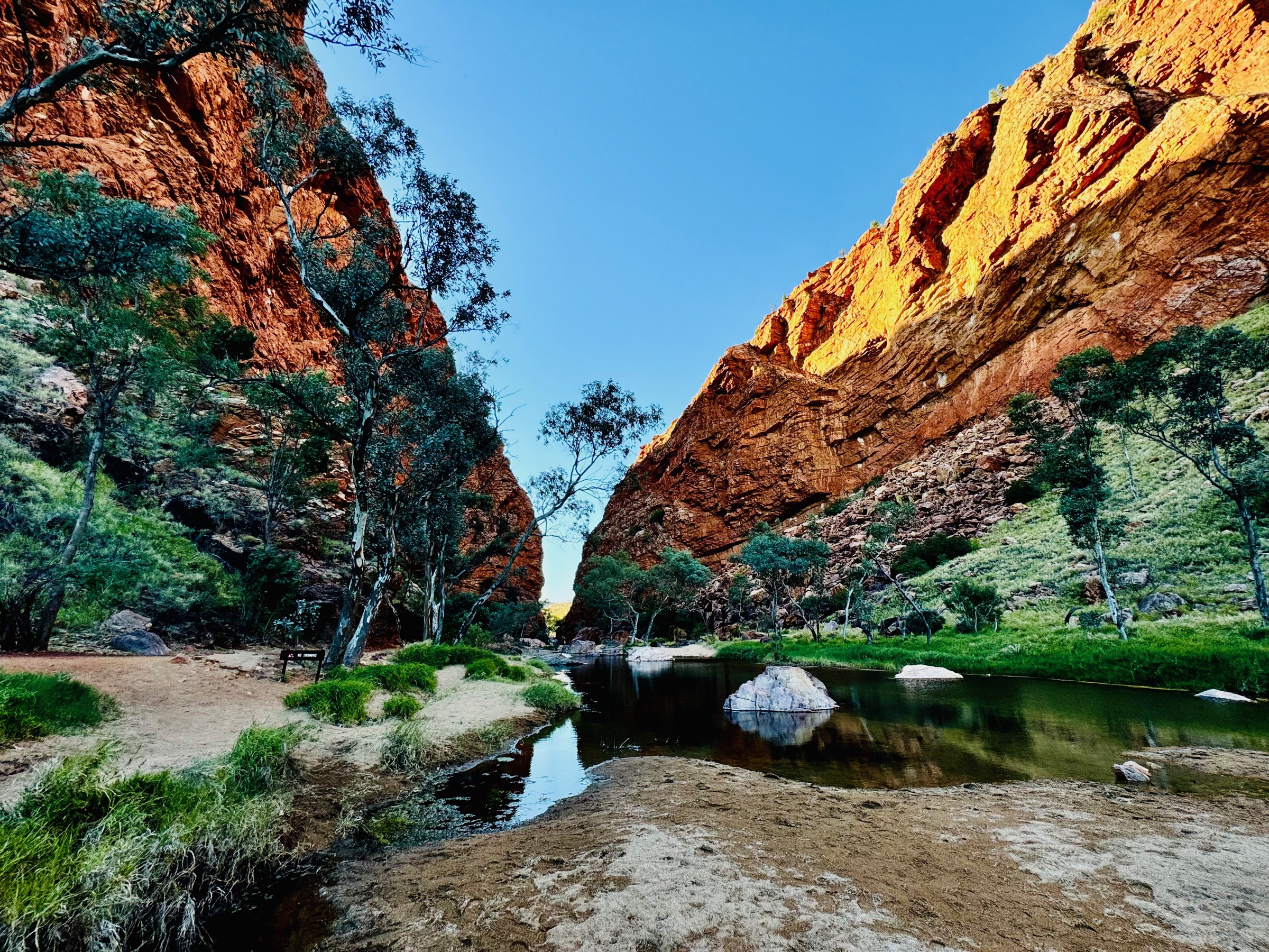 A still moment in the Australian outdoors