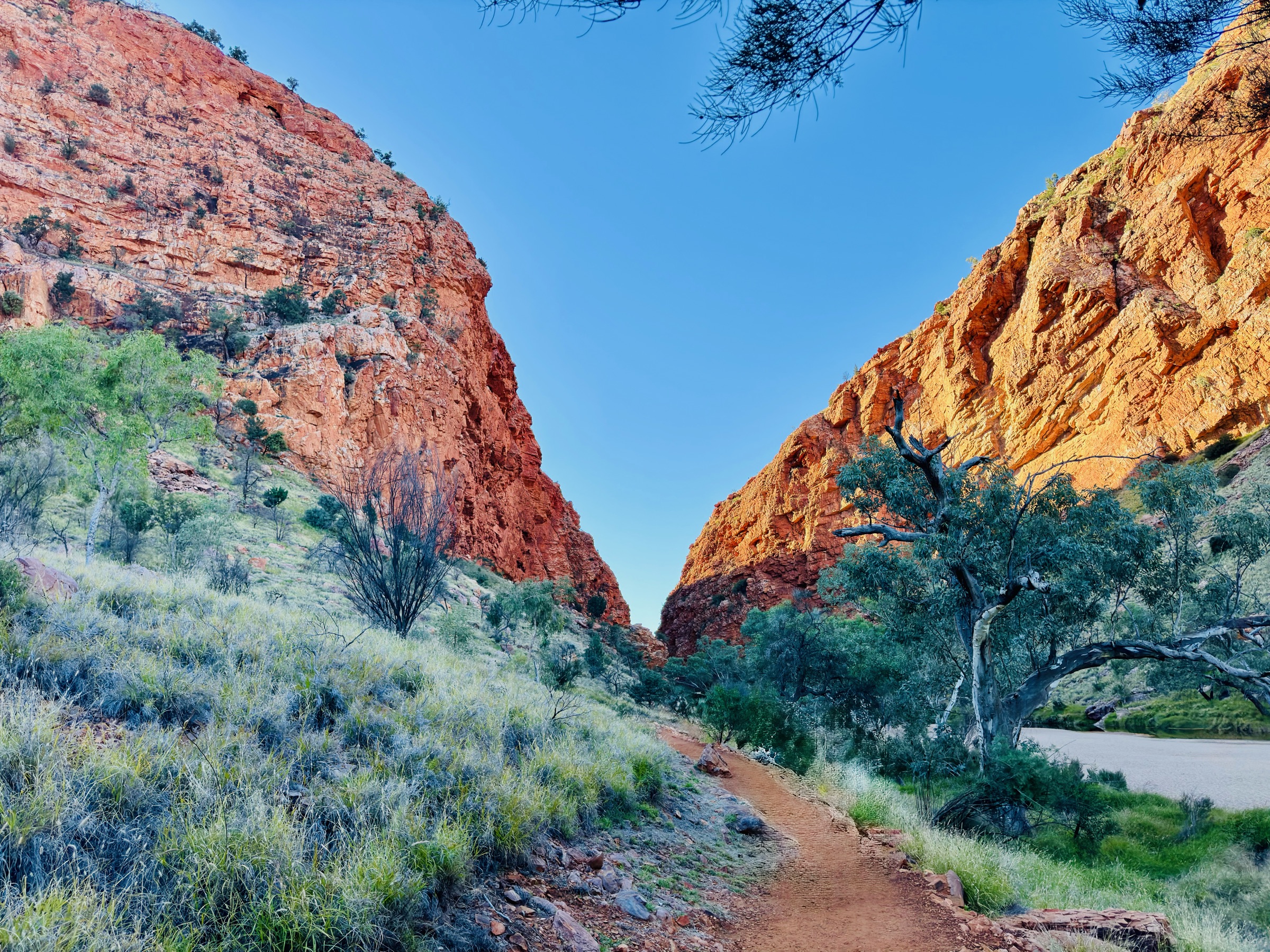 The Australian landscape at first light